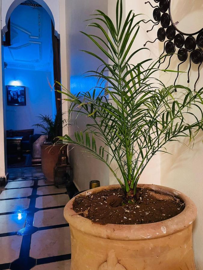 Riad Ms Holidays Terrasse Privatise Marrakech Маракеш Екстериор снимка