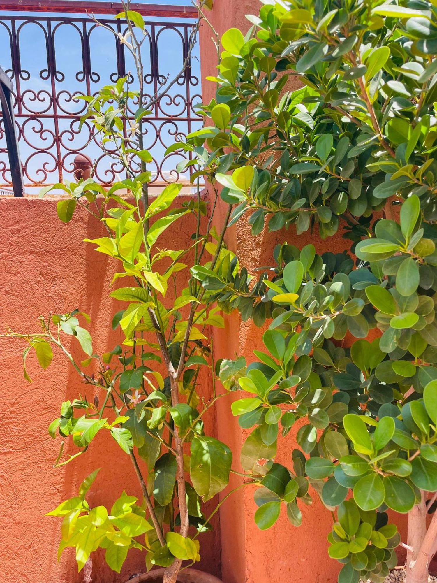 Riad Ms Holidays Terrasse Privatise Marrakech Маракеш Екстериор снимка