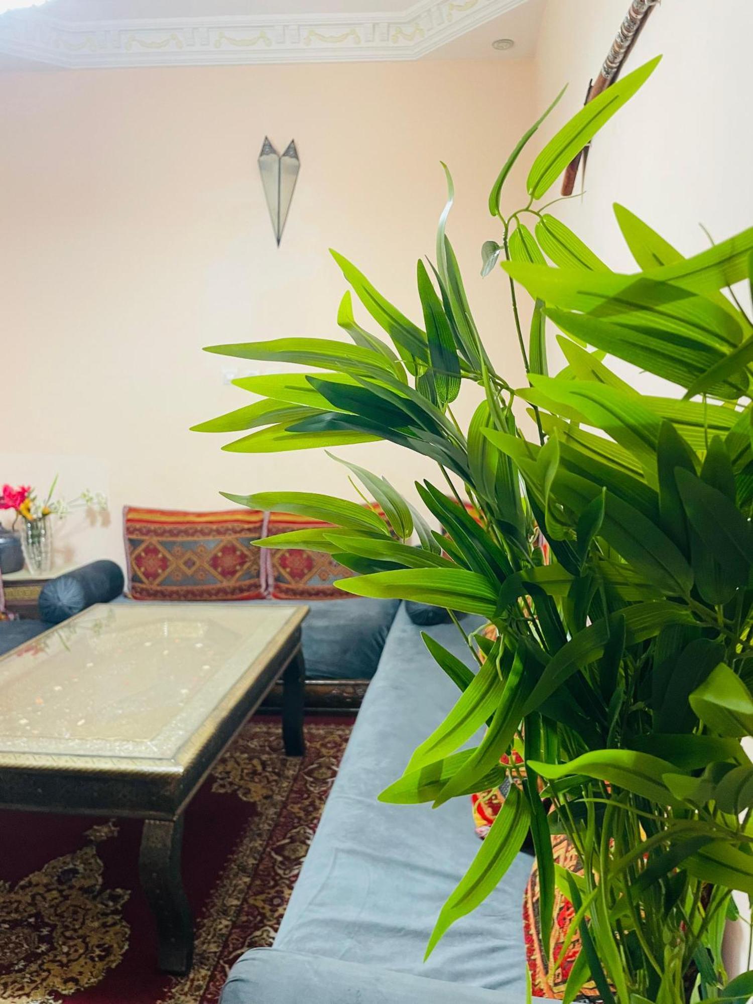 Riad Ms Holidays Terrasse Privatise Marrakech Маракеш Екстериор снимка